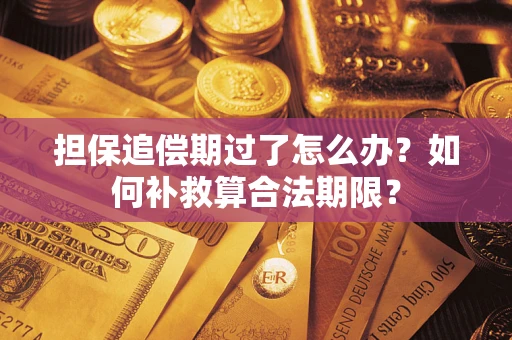 武汉担保追偿期过了怎么办？如何补救算合法期限？
